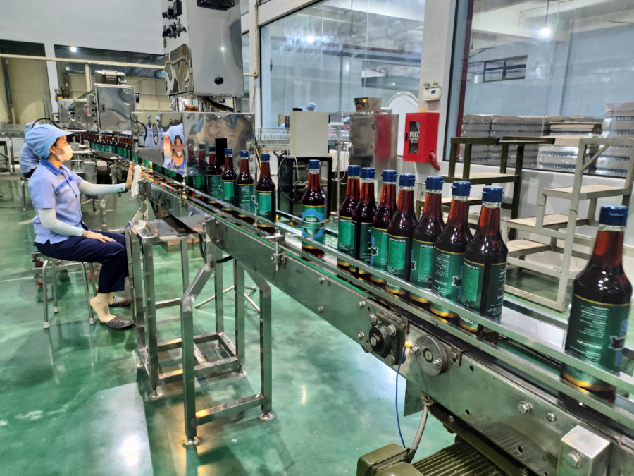 Kiểm tra sản phẩm lần cuối trên băng chuyền đóng chai nước mắm Hạnh Phúc