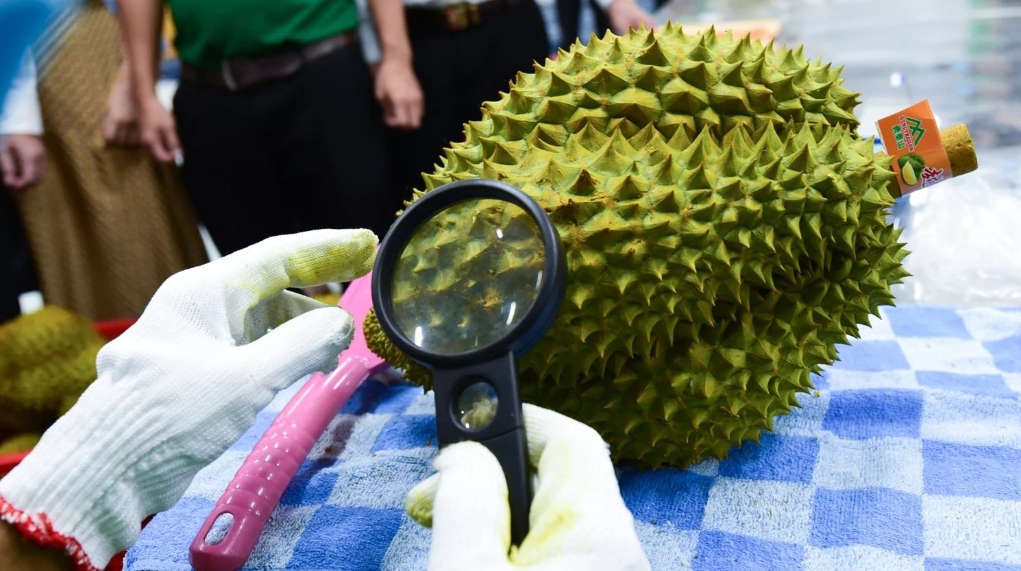 Nông sản, thực phẩm nhập khẩu vào EU có thể phải đáp ứng những yêu cầu cao hơn về mức dư lượng hóa chất bảo vệ thực vật. Ảnh: Tùng Đinh.