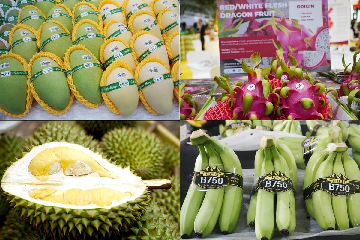 Việt Nam có nhiều mặt hàng lợi thế để xuất khẩu vào thị trường Trung Đông. Ảnh: Nguyễn Thủy.