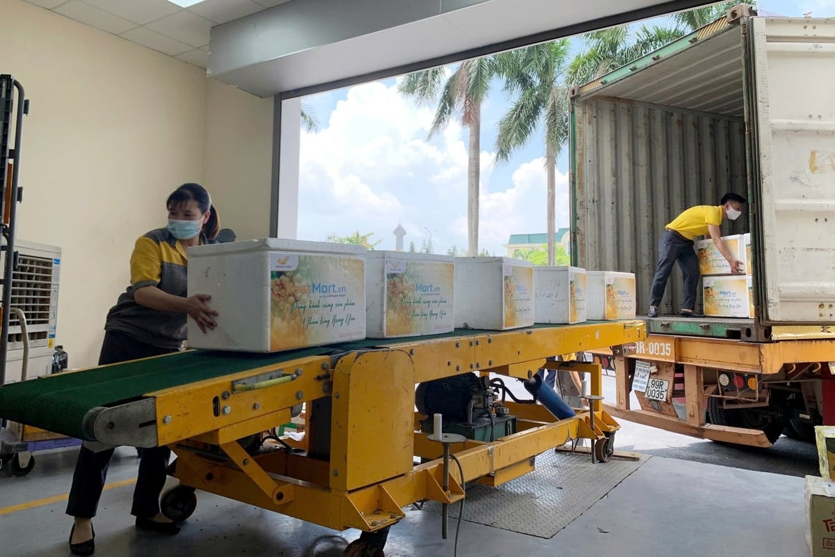 Bưu điện Việt Nam tận dụng lợi thế về mạng lưới để triển khai thương mại điện tử cho nông sản. Ảnh: VNP.