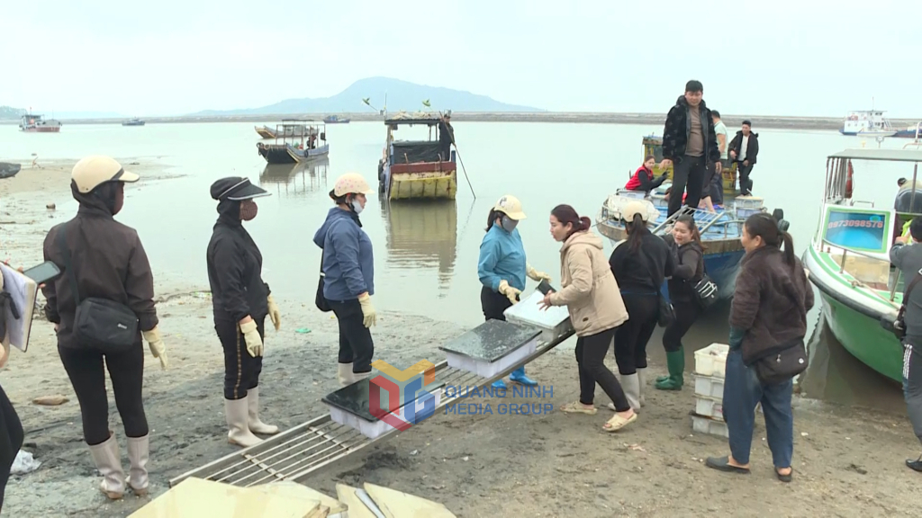 8 điểm kiểm soát, kê khai tại các xã phường trong tỉnh kiểm soát hơn 5.100 tấn thủy sản trong 4 tháng đầu năm 2025.