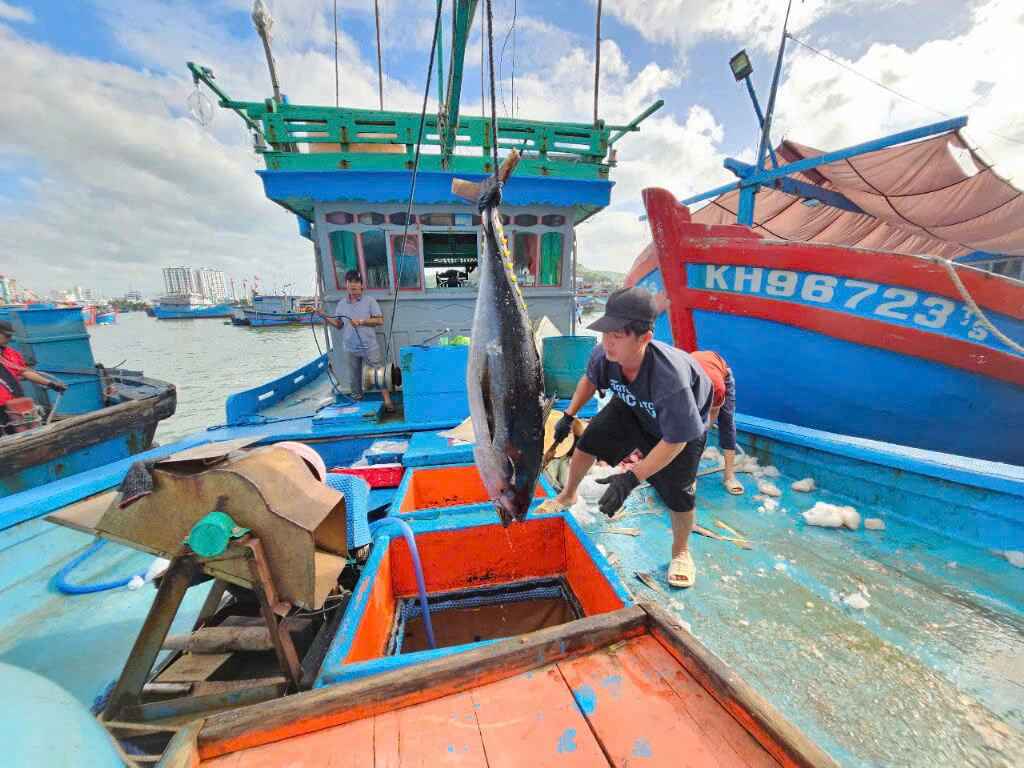 Ngư dân bớt khổ khi cảng cá được đầu tư bài bản - Ảnh 1.