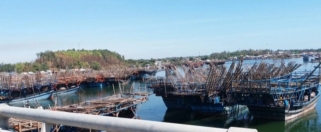 Cần sớm gỡ nút thắt cảng cá - Ảnh 2.