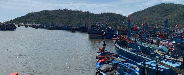 Cần sớm gỡ nút thắt cảng cá - Ảnh 1.