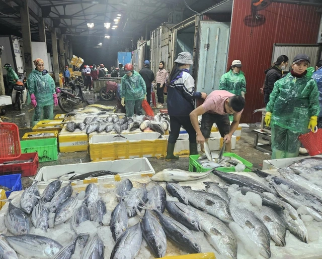 Cần sớm gỡ nút thắt cảng cá: Ngư dân vất vả tìm đường vào bờ - Ảnh 5.