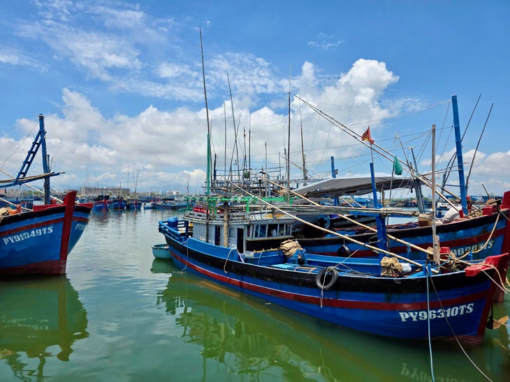 Phú Yên - Ảnh 3.