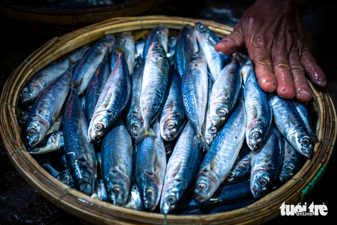 Nghề hấp cá,mực ở Quy Nhơn: Giữ lửa trong gian bếp nồng mùi biển - Ảnh 6. Quy Nhơn - Ảnh 7.