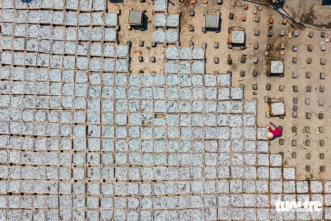 Nghề hấp cá vào vụ- Ảnh 2. Cá được phơi giữa trời nắng tự nhiên