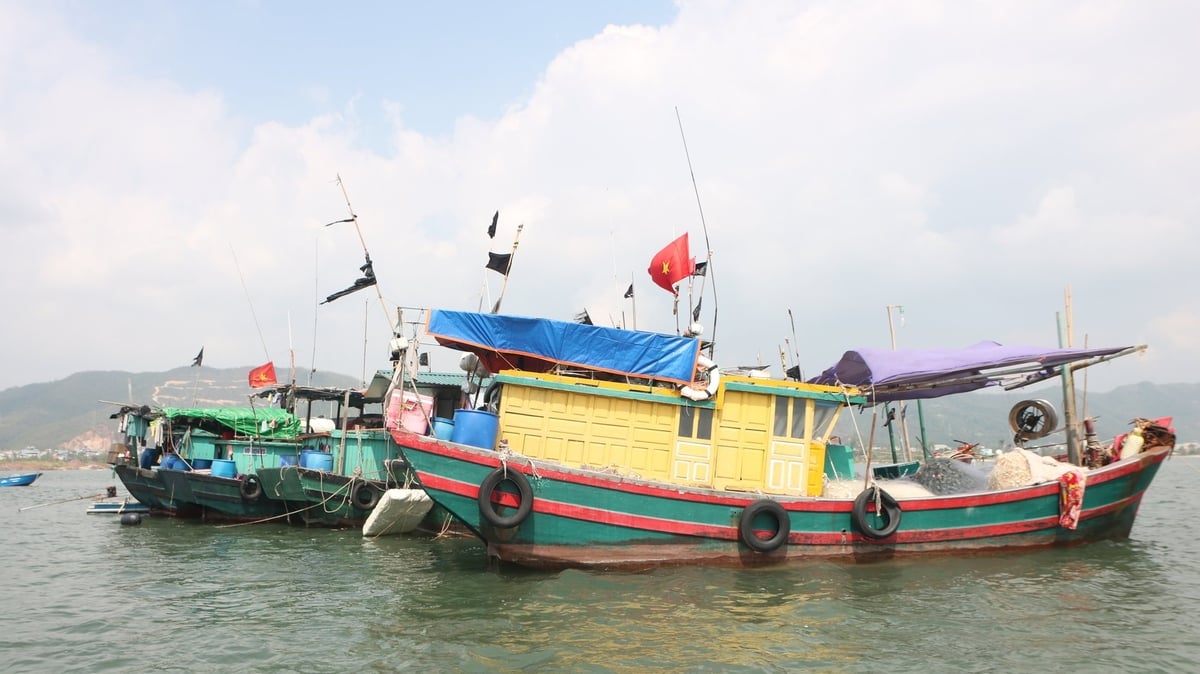 Quảng Ninh kiểm soát chặt chẽ các tàu cá khi khai thác ngoài khơi. Ảnh: Thanh Phương.