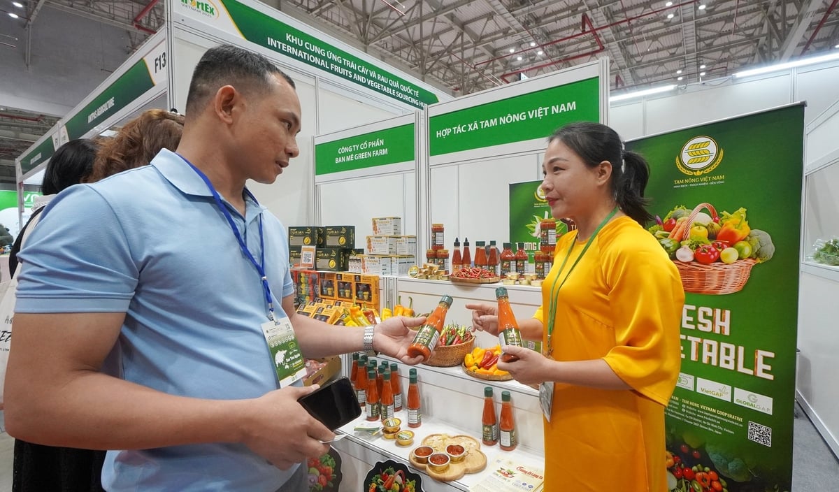 HTX Tam Nông Việt Nam đặt mục tiêu mở rộng xuất khẩu sang nhiều thị trường khó tính. Ảnh: Nguyễn Thủy.