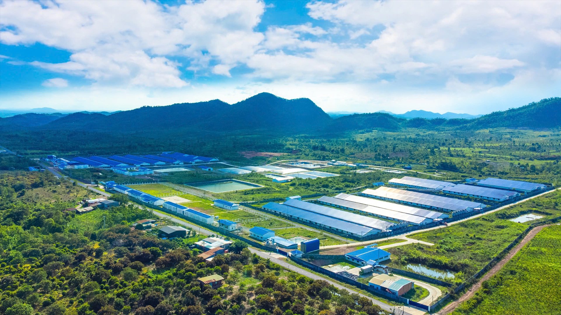 Hùng Nhơn đã đầu tư quy hoạch vùng chăn nuôi tách biệt với khu dân cư, có hành lang an toàn sinh học và kiểm soát nghiêm ngặt mọi hoạt động ra, vào trang trại. Ảnh: MP.
