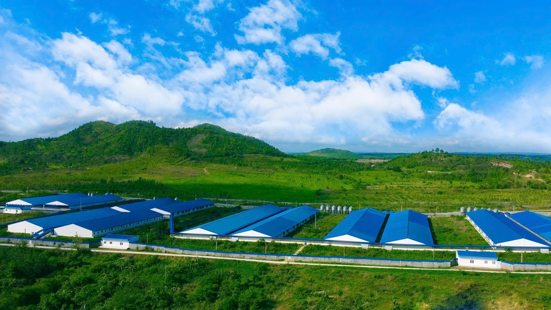 Nhiều khu chăn nuôi của Hùng Nhơn đã đạt tiêu chuẩn vùng an toàn dịch bệnh. Ảnh: MP.