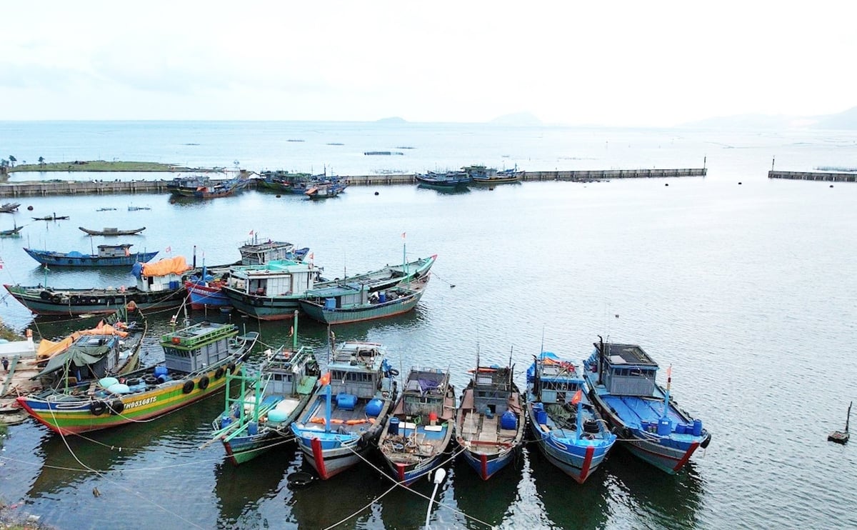 TP Huế đang thực hiện nghiêm các quy định về đánh bắt, khai thác hải sản trên biển. Ảnh: Văn Dinh.