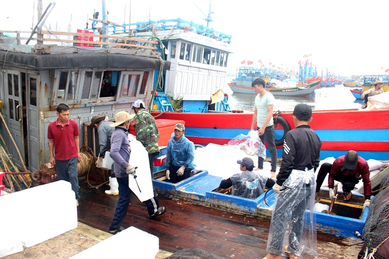 TP. Huế: Xử lý triệt để tàu cá bốc dỡ hàng tại cảng chưa được chỉ định- Ảnh 1.