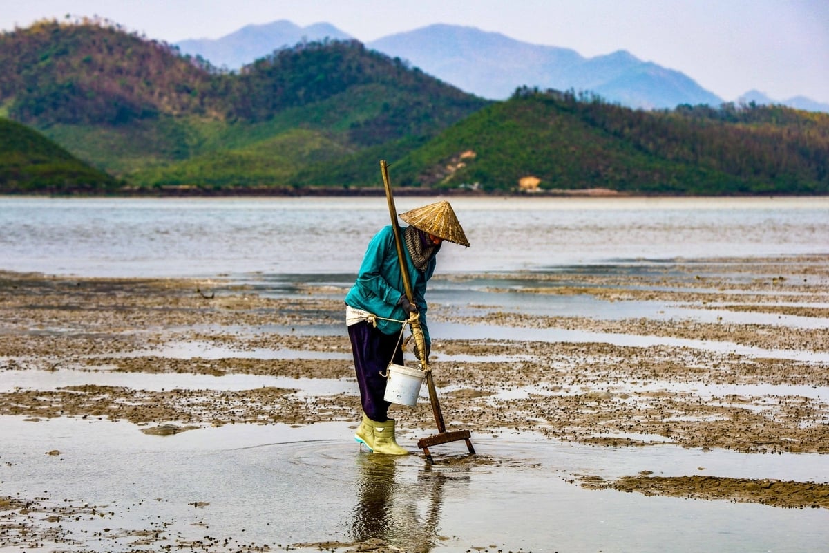 Bà Vũ Thị Sáu đang đi tìm sá sùng. Ảnh: Tường Vy. Bà Vũ Thị Sáu đang đi tìm sá sùng. Ảnh: Tường Vy.
