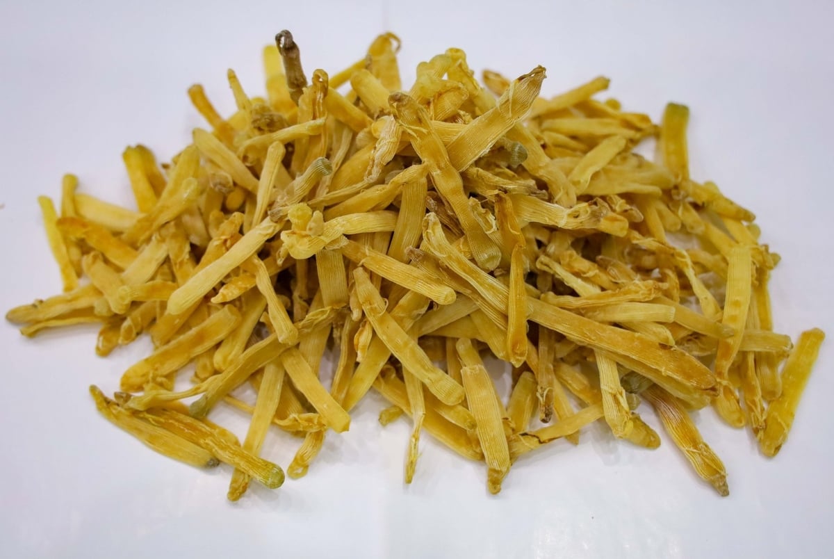 Thành phẩm sá sùng sau khi sấy khô, chuẩn bị được đưa tới tay người tiêu dùng. Ảnh: Tường Vy. Thành phẩm sá sùng sau khi sấy khô, chuẩn bị được đưa tới tay người tiêu dùng. Ảnh: Tường Vy.