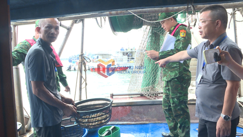 Trường hợp tàu cá sử dụng chã điện khai thác thủy sản vừa được Ban quản lý Vịnh phát hiện bàn giao cho Đồn biên phòng cửa khẩu Cảng Hòn Gai.