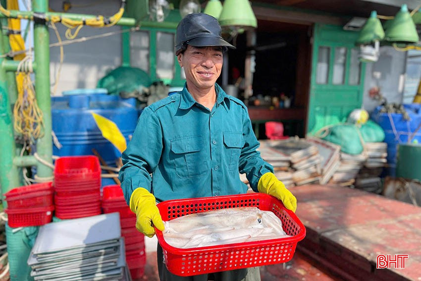 Vươn khơi đều đặn không chỉ giúp ngư dân mang về nguồn thu khá mà còn tạo ra nguồn cung hải sản đa dạng. bqbht_br_img-0674-2-copy.jpg