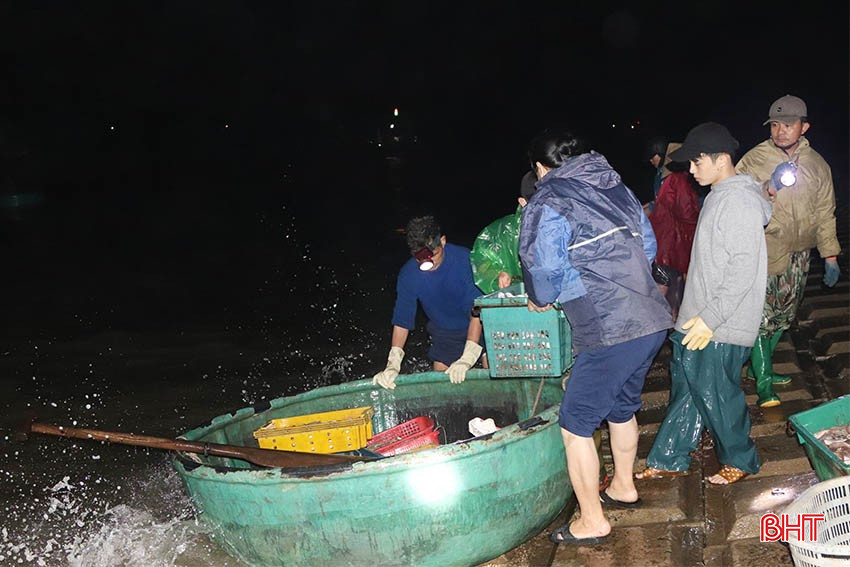 Ngư dân xã Cẩm Nhượng nỗ lực vươn khơi, thu về nhiều "lộc biển". bqbht_br_img-8763-copy.jpg