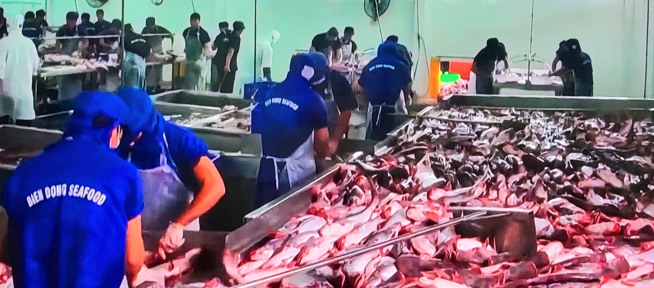 Việt Nam cũng là quốc gia xuất khẩu cá tra lớn nhất thế giới Việt Nam cũng là quốc gia xuất khẩu cá tra lớn nhất thế giới
