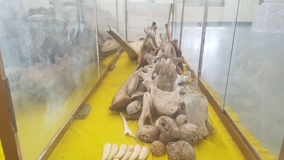 cho hai san doc dao ngay bai bien hoang so o ben tre hut khach du lich - 5