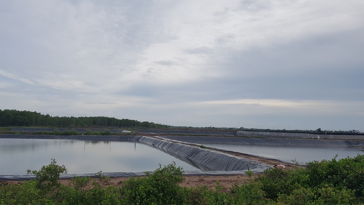 cho hai san doc dao ngay bai bien hoang so o ben tre hut khach du lich - 1