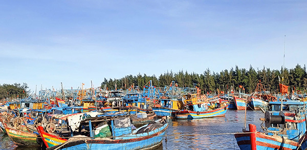 Tàu cá nằm ở Cảng Bến Lội-Bình Châu (huyện Xuyên Mộc).