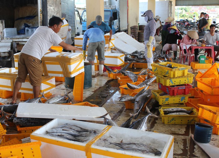 Cửa biển Mỹ Á hồi sinh - Ảnh 3. Cửa biển Mỹ Á hồi sinh - Ảnh 3.