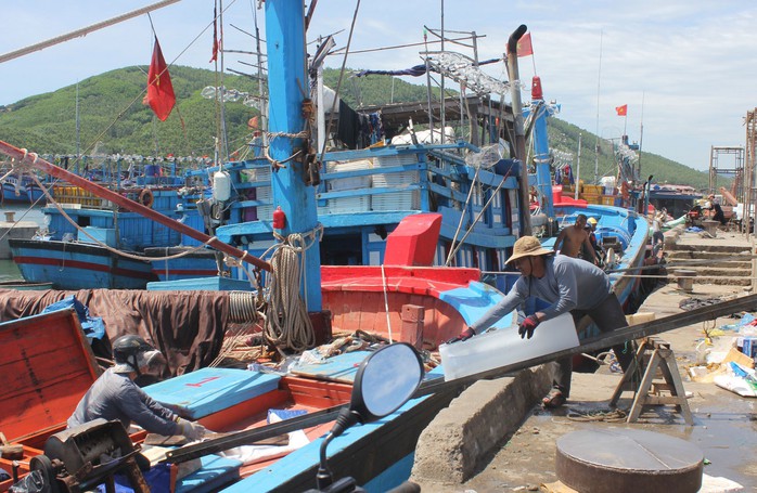 Cửa biển Mỹ Á hồi sinh - Ảnh 4. Cửa biển Mỹ Á hồi sinh - Ảnh 4.