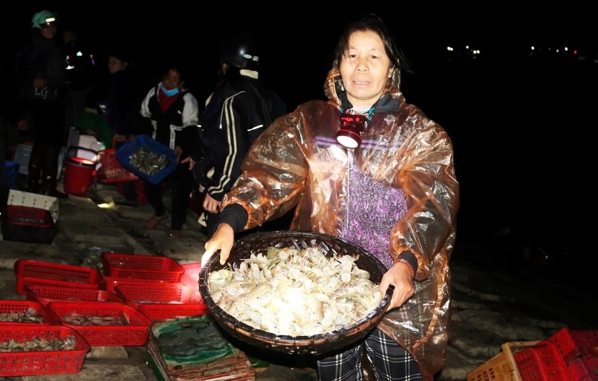 Ý thức khai báo sản lượng thủy sản khai thác của ngư dân đã được nâng lên rõ rệt. Ảnh: Thanh Nga.