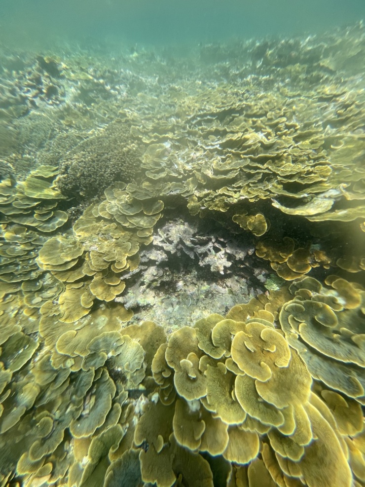 Làng chài hoang sơ quanh Mũi Vi Rồng - 9