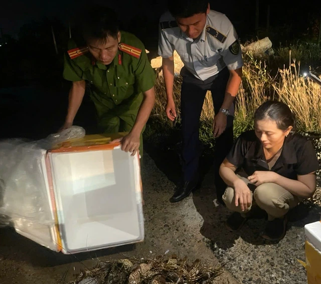 Bắt quả tang cơ sở bơm tạp chất vào tôm hùm chết lừa người tiêu dùng- Ảnh 2.