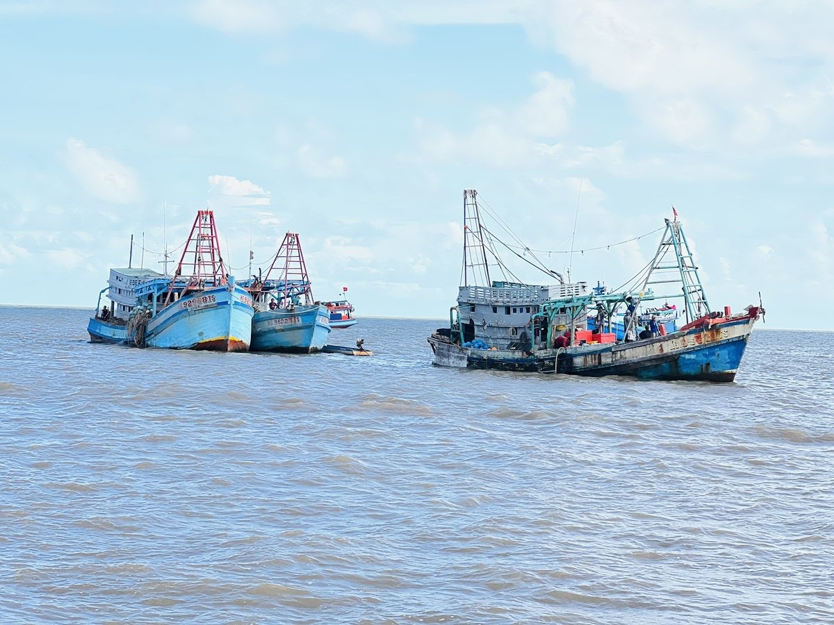 Tỉnh Cà Mau có công văn hỏa tốc yêu cầu các sở, ngành, đoàn thể, chính quyền địa phương tăng cường trách nhiệm trong công tác bảo vệ và phát triển nguồn lợi thủy sản, đặc biệt trong thời điểm đầu mùa mưa. Ảnh: Trọng Linh. Tỉnh Cà Mau có công văn hỏa tốc yêu cầu các sở, ngành, đoàn thể, chính quyền địa phương tăng cường trách nhiệm trong công tác bảo vệ và phát triển nguồn lợi thủy sản, đặc biệt trong thời điểm đầu mùa mưa. Ảnh: Trọng Linh.