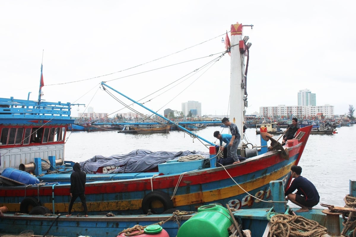 Tại TP Đà Nẵng ghi nhận số lượt tàu cá mất kết nối VMS giảm mạnh. Ảnh: Lan Anh