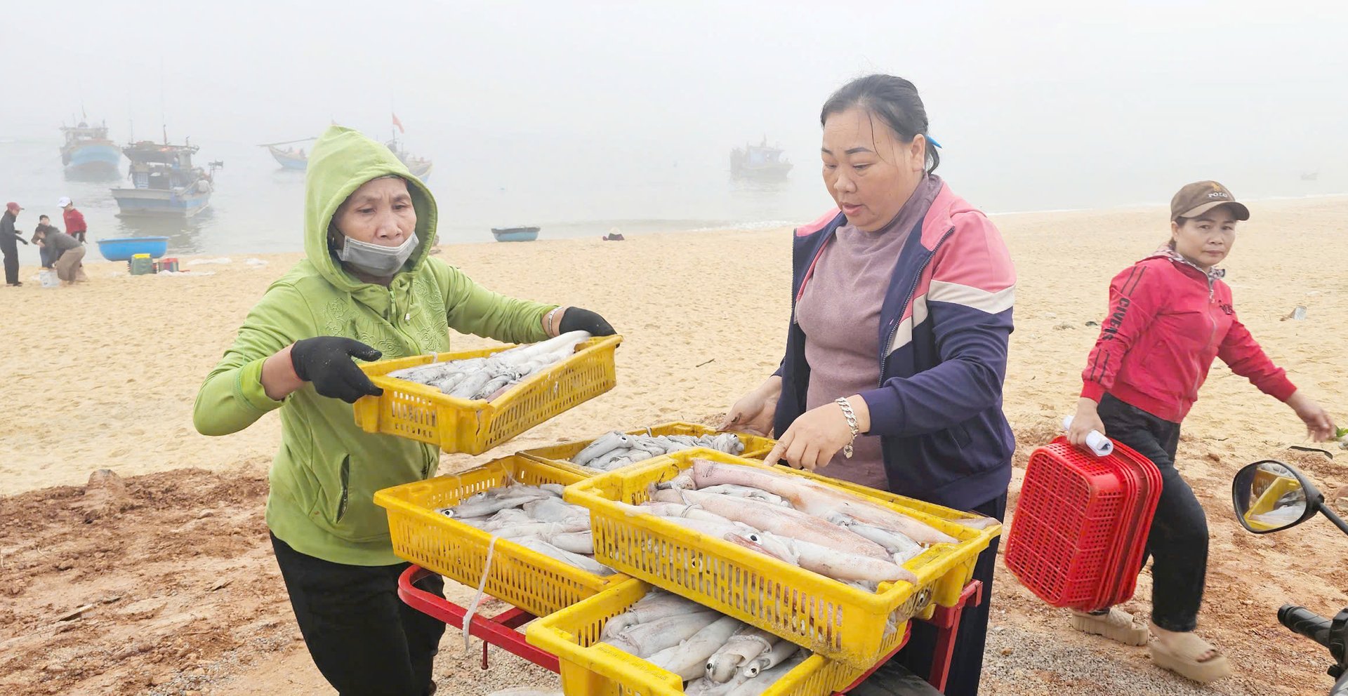 Mực ống được bán với giá 300.000 đồng/kg, giúp ngư dân có thu nhập cao. Ảnh: T. Phùng.