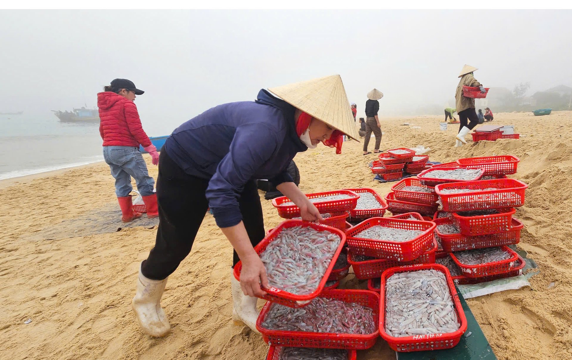 Ngư dân vùng biển bãi ngang Quảng Bình vào vụ cá Nam với nhiều đặc sản mực cơm. Ảnh: T. Phùng.