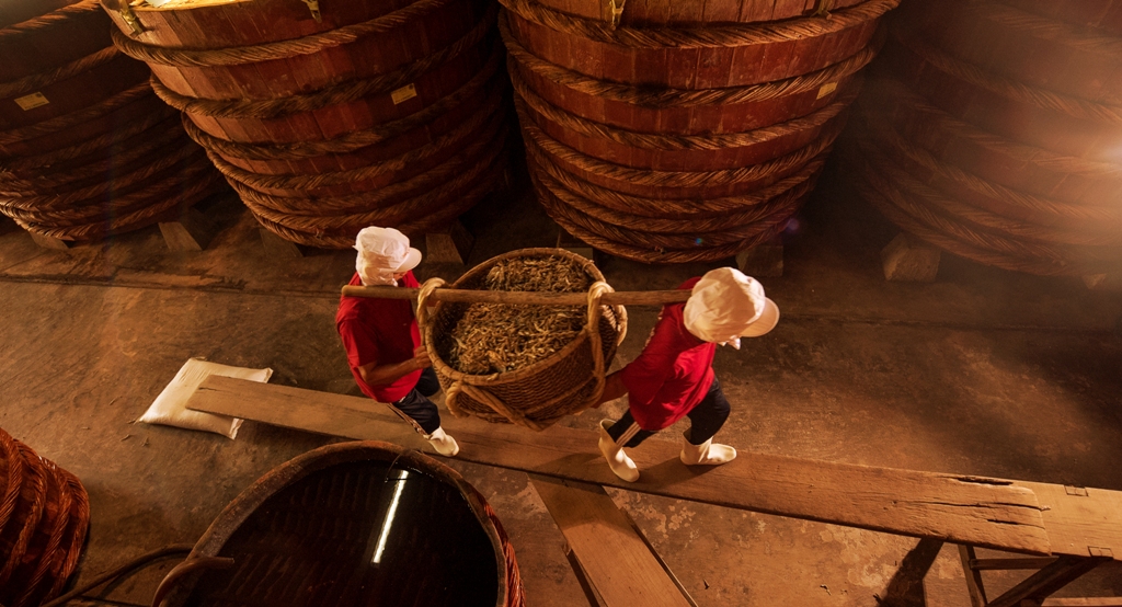 Đưa chượp cá lên thùng ủ trong nhà thùng Nước mắm Thanh Hà ở Phú Quốc