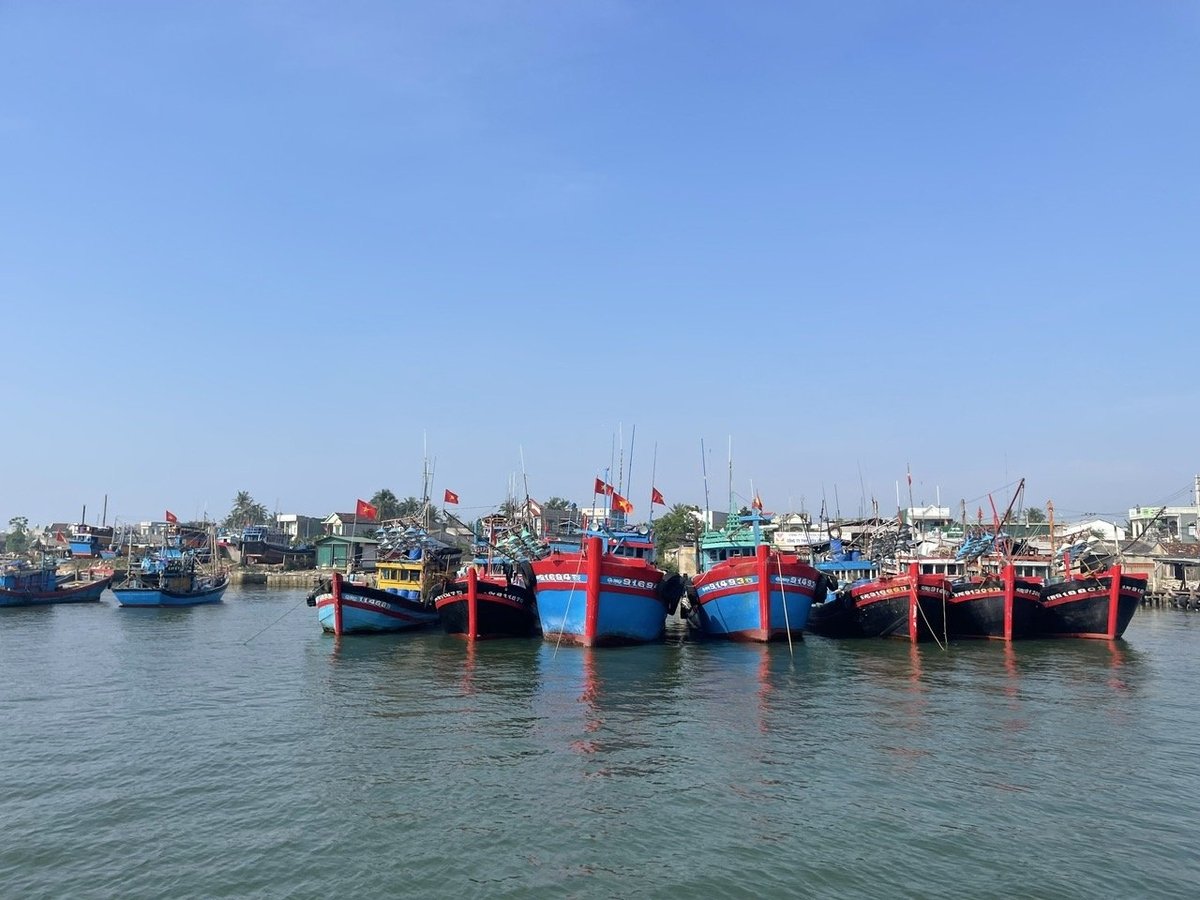 Theo thống kê, toàn tỉnh Quảng Ngãi hiện có hơn 4.900 tàu cá đã đăng ký. Ảnh: Võ Hà.