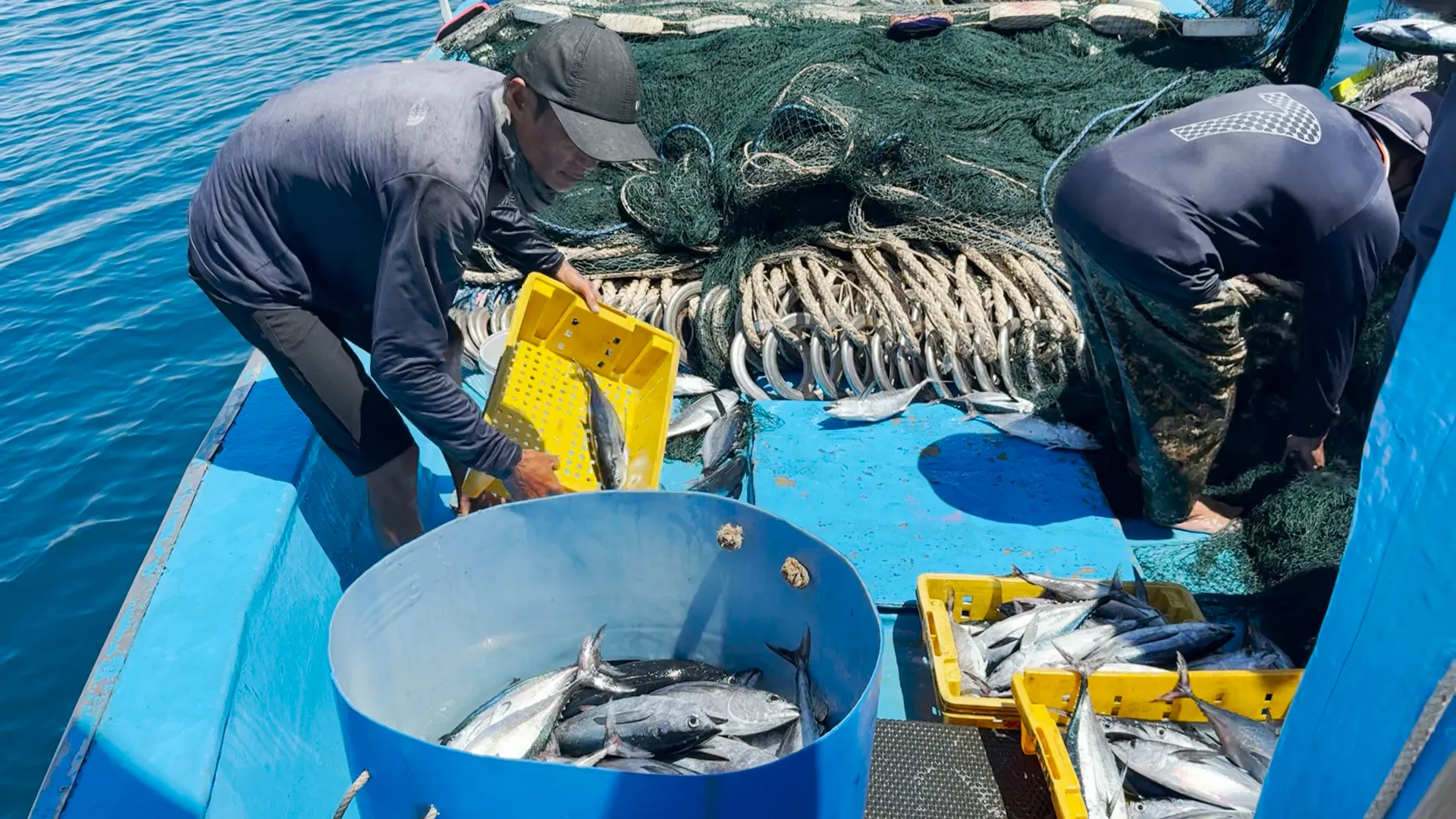 Không cần đi xa, không phải ở lại nhiều ngày trên biển, nghề lưới vây gần bờ giúp hàng trăm lao động ven biển Bình Sơn bám biển, có thu nhập tốt mà vẫn kịp trở về nhà sau mỗi chuyến đi trong ngày. Với ngư dân nơi đây, những mẻ lưới rút đầy ắp cá không chỉ là nguồn sống mà còn là niềm tự hào giữa biển trời quê hương. IMG_2405.MOV.00_00_02_13.Still001.jpg