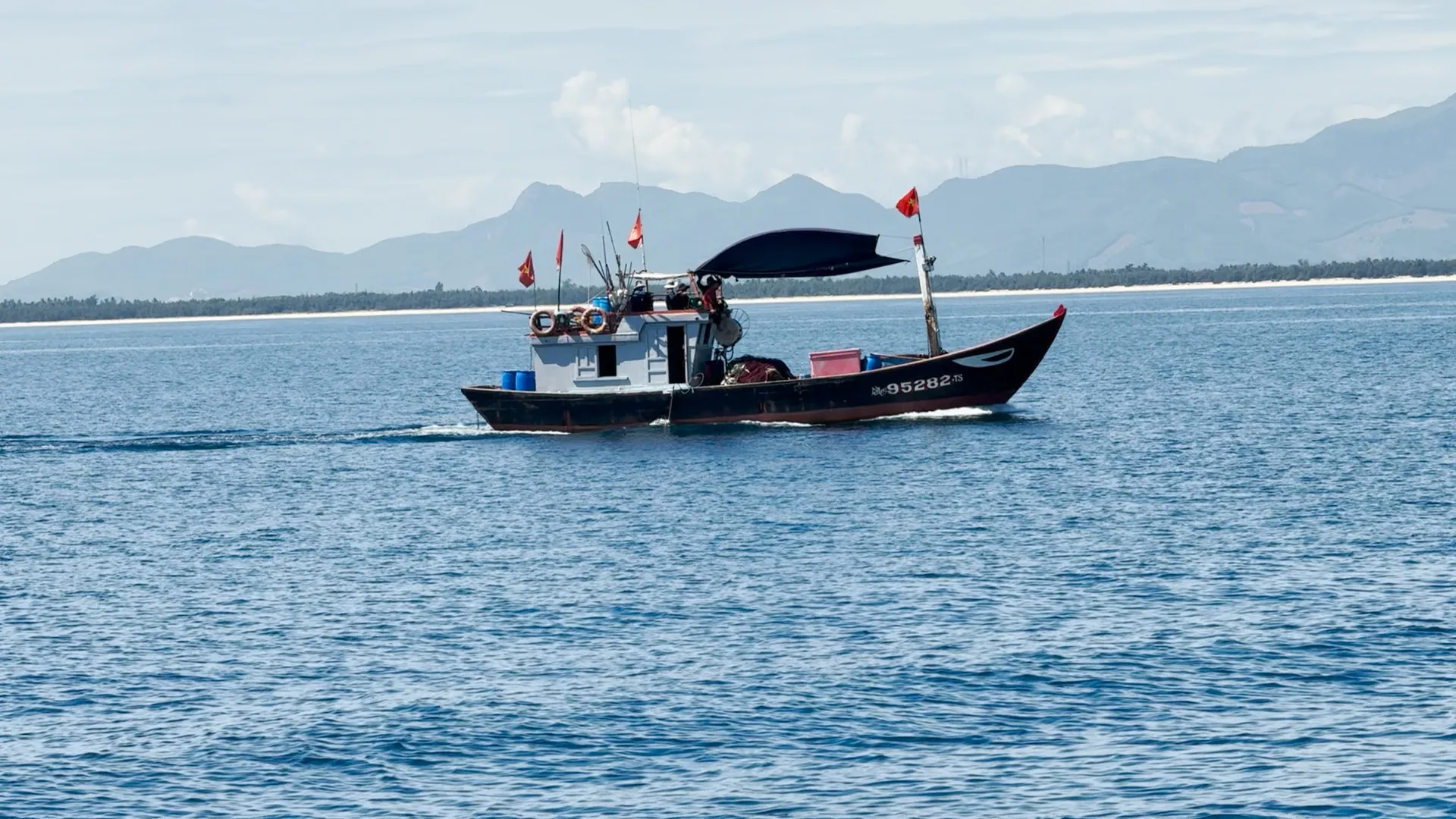 Từ rạng sáng, các tàu nghề lưới vây của xã Bình Đông lần lượt rời bến, hướng về những ngư trường cách đất liền khoảng 5 hải lý. Đây là khoảng cách vừa đủ để dễ quan sát, linh hoạt bủa lưới mà không quá xa khi có gió lớn hay thời tiết chuyển xấu. Theo ngư dân Quảng Ngãi vây cá ngừ giữa biển