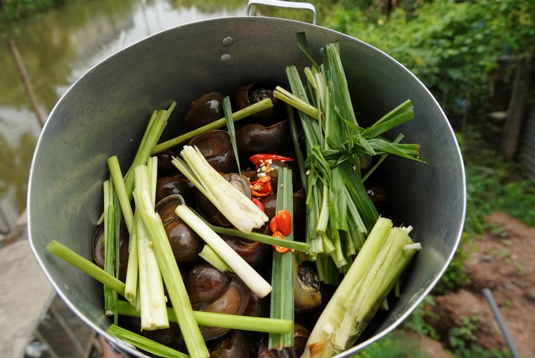'Lạc lối' giữa thiên đường ẩm thực mùa nước nổi miền Tây - Ảnh 8.