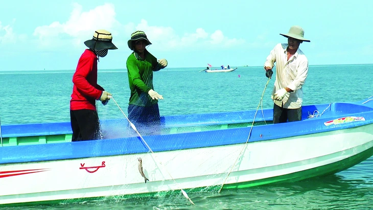 BẮT cá khoai ở biển cà mau - Ảnh 1. cá khoai - Ảnh 1.