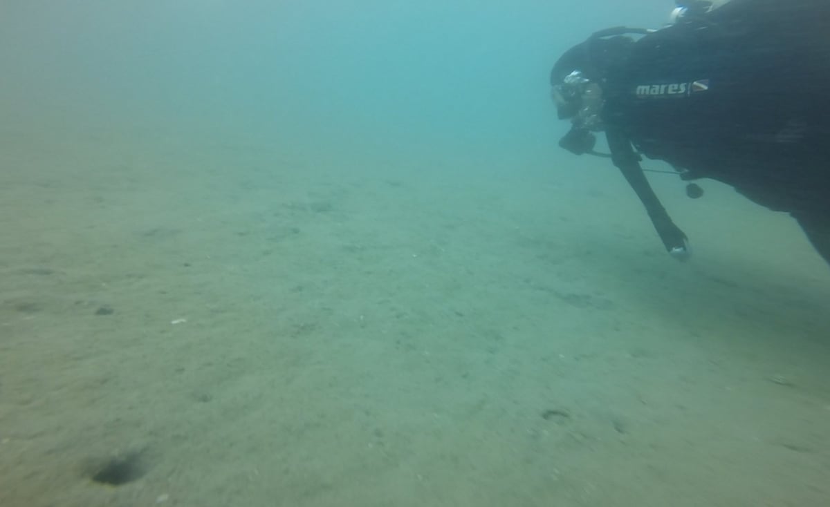 Khảo sát của cán bộ địa phương cho thấy nguồn lợi thủy sản dưới đáy biển hoang tàn do tàu cá lớn khai thác tận diệt. Ảnh tư liệu.