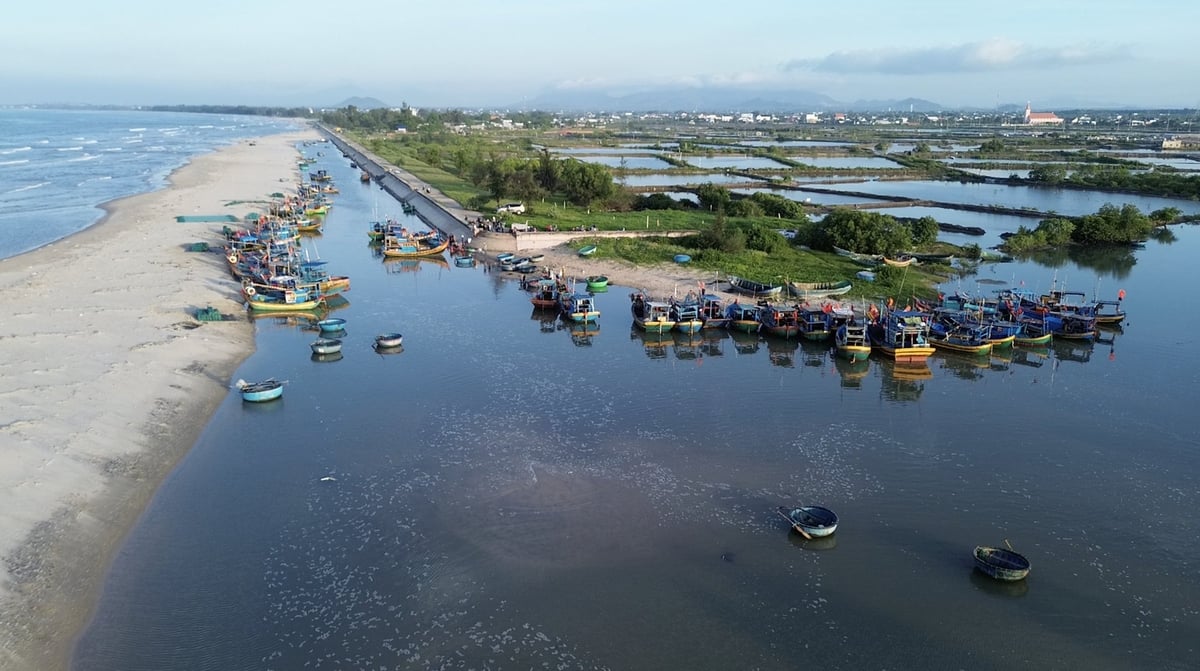 Nam Trung bộ là một trong những vùng biển có nguồn lợi thủy sản phong phú nhất cả nước. Ảnh: Quỳnh Chi.