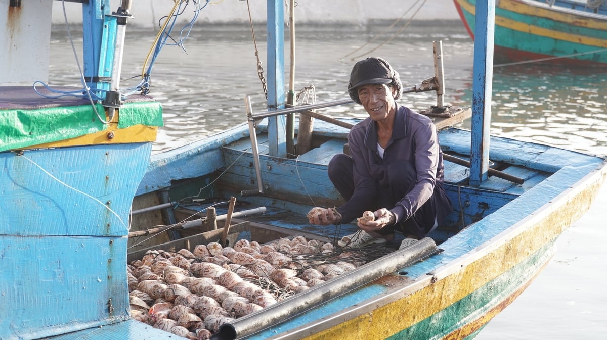 Ngư dân Võ Viết Tuấn - thành viên Hội cộng đồng ngư dân Tân Thuận trở về sau một đêm ra khơi đánh cá. Ảnh: Trần Phi.