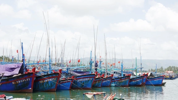 Chống khai thác IUU, Gia Lai buộc 650 tàu cá nằm bờ- Ảnh 1.