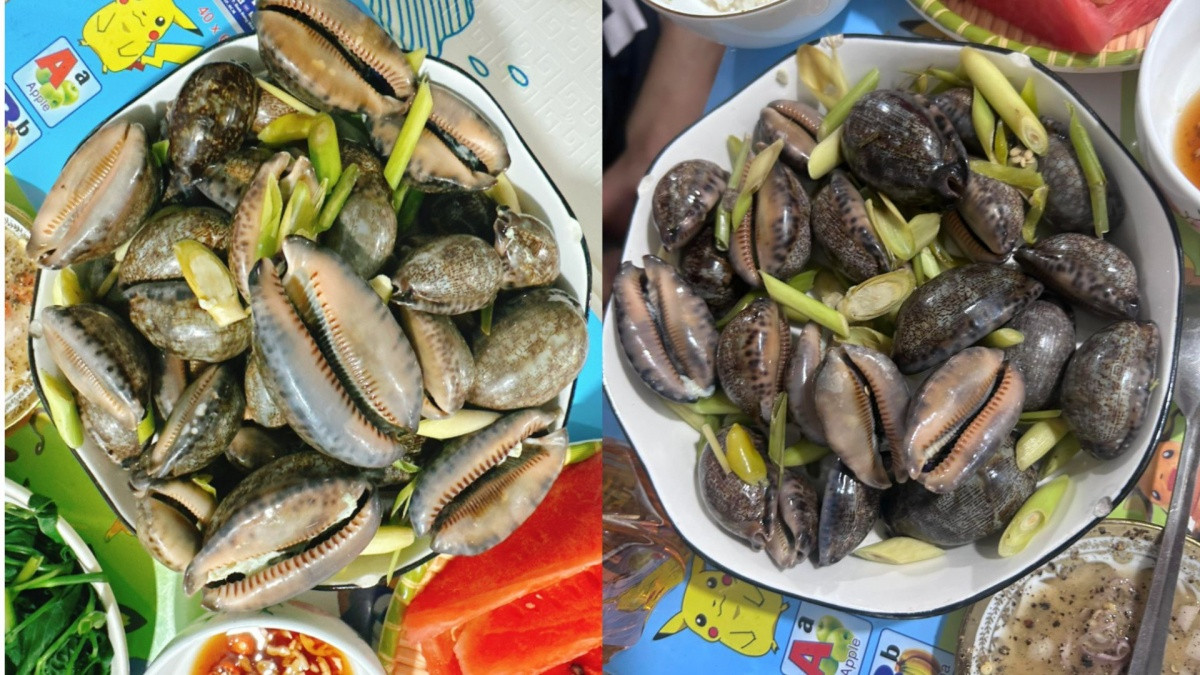 Đặc sản 'trời ban' ở biển Việt có tên thú vị, ăn giòn dai, thơm ngon giá lại hợp túi tiền Đặc sản 'trời ban' ở biển Việt có tên thú vị, ăn giòn dai, thơm ngon giá lại hợp túi tiền