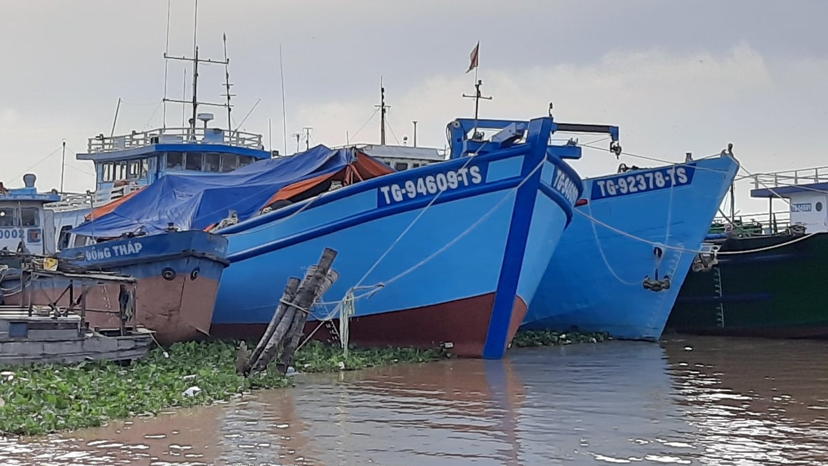 Tàu cá Đồng Tháp neo đậu tại khu vực bờ kè sông Tiền, thuộc phường Mỹ Tho. Ảnh: Thanh Bạch. Tàu cá Đồng Tháp neo đậu tại khu vực bờ kè sông Tiền, thuộc phường Mỹ Tho. Ảnh: Thanh Bạch.