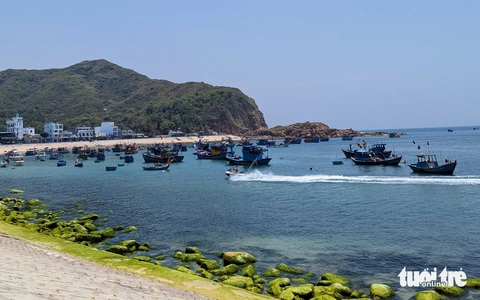 Gia Lai cấm 650 tàu cá không đủ điều kiện ra khơi đánh bắt- Ảnh 1.