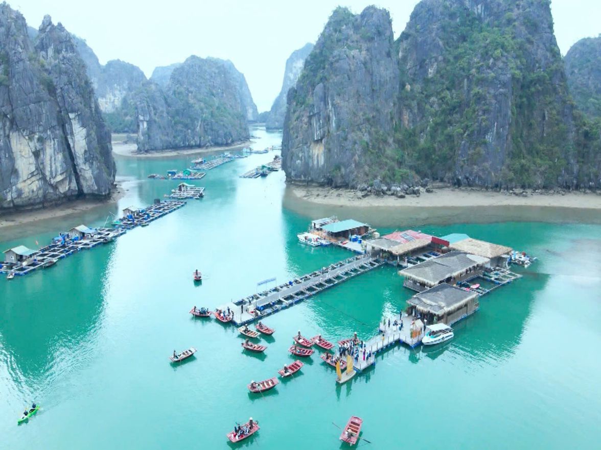 Làng chài Vung Viêng yên bình giữa vịnh Bái Tử Long